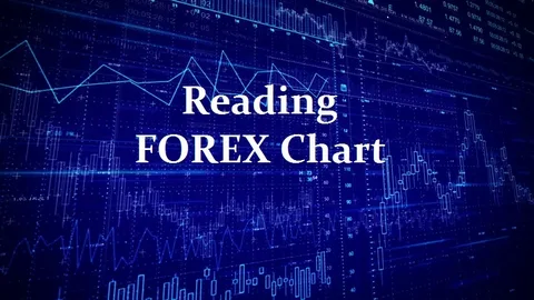 How to Read Forex Charts for Beginners: 7 Critical Mistakes That Destroy 90% of New Traders